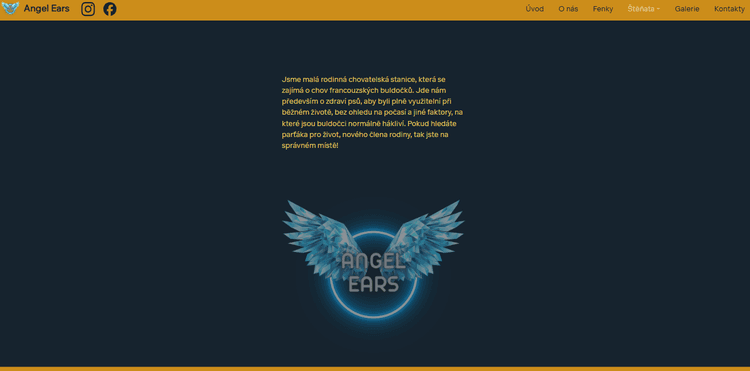 Angel-ears website